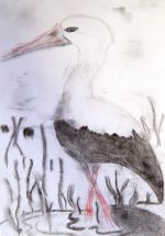 Kameniczki Lukáš.jpg